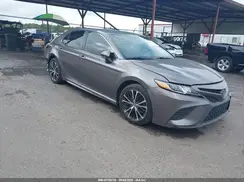 4T1B11HK7KU192851 2019 TOYOTA CAMRY