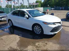 4T1B11HK7KU194843 2019 TOYOTA CAMRY