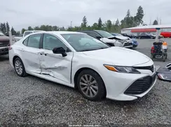 4T1B11HK7KU199802 2019 TOYOTA CAMRY