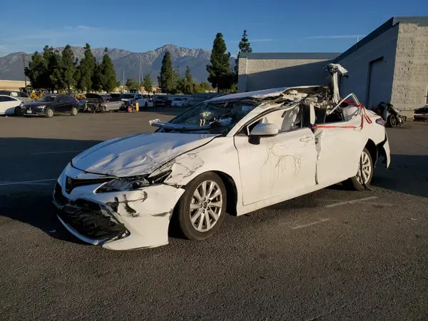 4T1B11HK7KU203542 2019 TOYOTA CAMRY - Image 1
