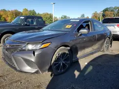 4T1B11HK7KU204772 2019 TOYOTA CAMRY