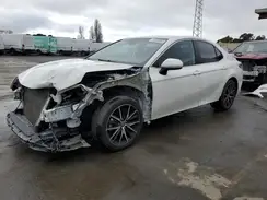 4T1B11HK7KU204982 2019 TOYOTA CAMRY