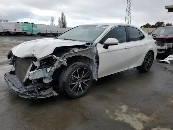 4T1B11HK7KU204982 2019 TOYOTA CAMRY - Image 1