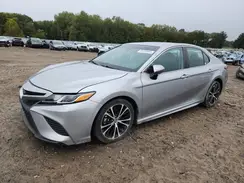 4T1B11HK7KU206067 2019 TOYOTA CAMRY