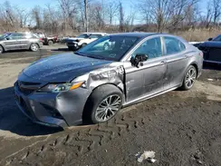 4T1B11HK7KU212449 2019 TOYOTA CAMRY