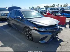 4T1B11HK7KU213813 2019 TOYOTA CAMRY