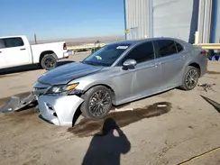 4T1B11HK7KU216677 2019 TOYOTA CAMRY
