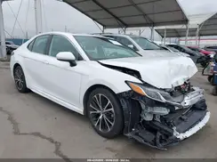 4T1B11HK7KU223113 2019 TOYOTA CAMRY