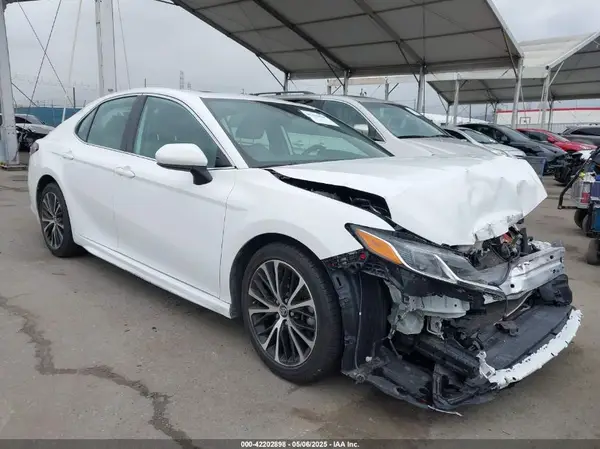 4T1B11HK7KU223113 2019 TOYOTA CAMRY - Image 1