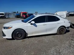 4T1B11HK7KU226061 2019 TOYOTA CAMRY