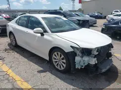 4T1B11HK7KU231681 2019 TOYOTA CAMRY