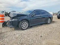 4T1B11HK7KU247637 2019 TOYOTA CAMRY