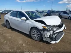 4T1B11HK7KU249601 2019 TOYOTA CAMRY