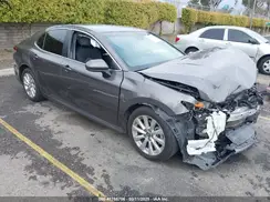 4T1B11HK7KU252711 2019 TOYOTA CAMRY