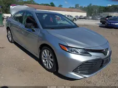 4T1B11HK7KU257083 2019 TOYOTA CAMRY