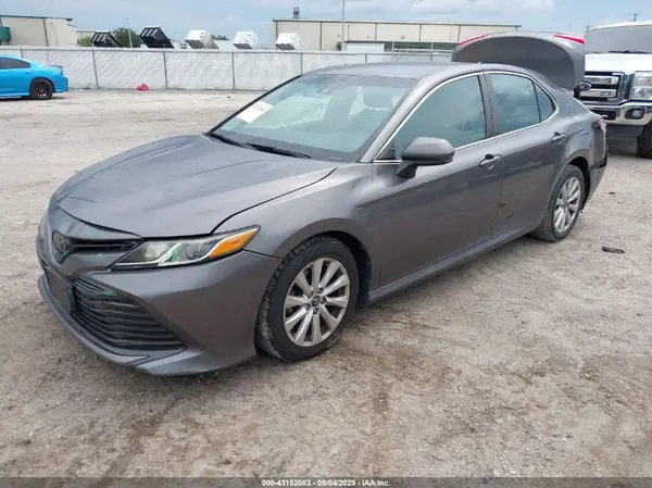 4T1B11HK7KU258282 2019 TOYOTA CAMRY - Image 2
