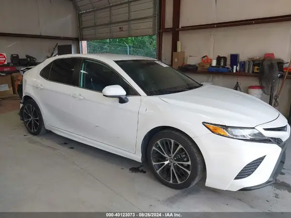 4T1B11HK7KU260162 2019 TOYOTA CAMRY - Image 1