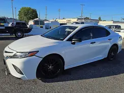 4T1B11HK7KU260436 2019 TOYOTA CAMRY