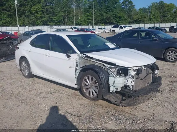 4T1B11HK7KU262896 2019 TOYOTA CAMRY - Image 1