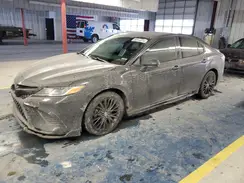 4T1B11HK7KU265507 2019 TOYOTA CAMRY