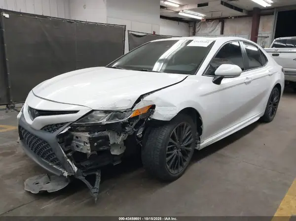4T1B11HK7KU276779 2019 TOYOTA CAMRY - Image 2