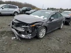 4T1B11HK7KU281481 2019 TOYOTA CAMRY