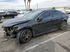 4T1B11HK7KU281562 2019 TOYOTA CAMRY