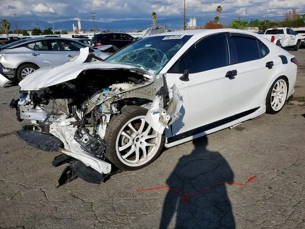 4T1B11HK7KU281819 2019 TOYOTA CAMRY - Image 1