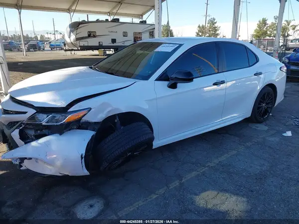 4T1B11HK7KU286101 2019 TOYOTA CAMRY - Image 2