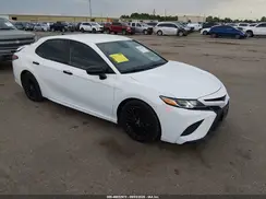 4T1B11HK7KU290973 2019 TOYOTA CAMRY