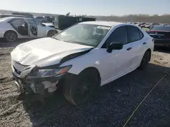 4T1B11HK7KU295543 2019 TOYOTA CAMRY