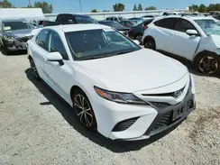 4T1B11HK7KU299981 2019 TOYOTA CAMRY