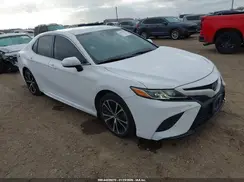 4T1B11HK7KU681136 2019 TOYOTA CAMRY