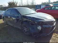 4T1B11HK7KU683002 2019 TOYOTA CAMRY