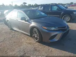 4T1B11HK7KU686515 2019 TOYOTA CAMRY
