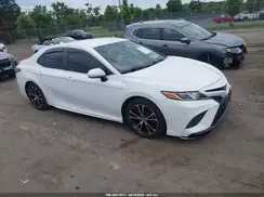 4T1B11HK7KU689091 2019 TOYOTA CAMRY