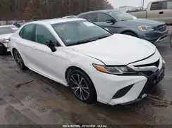 4T1B11HK7KU689852 2019 TOYOTA CAMRY