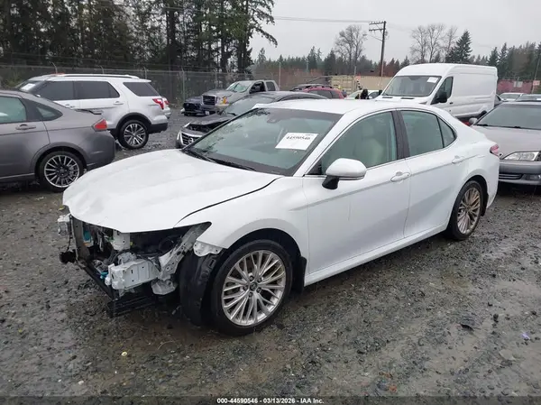 4T1B11HK7KU689897 2019 TOYOTA CAMRY - Image 2