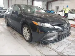 4T1B11HK7KU690032 2019 TOYOTA CAMRY
