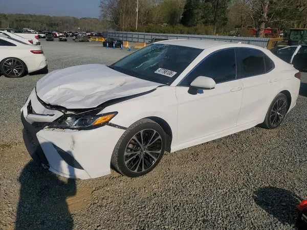 4T1B11HK7KU696543 2019 TOYOTA CAMRY - Image 1