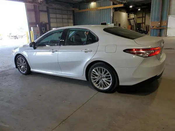 4T1B11HK7KU697045 2019 TOYOTA CAMRY - Image 2