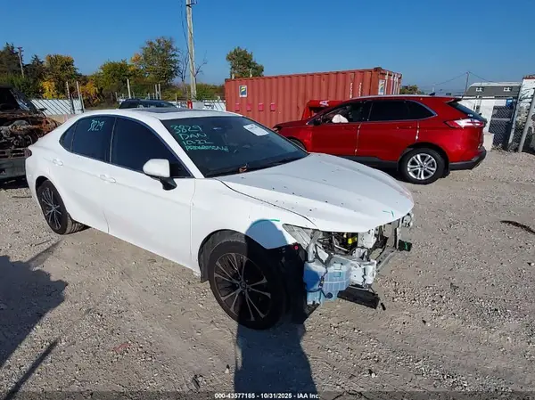 4T1B11HK7KU699989 2019 TOYOTA CAMRY - Image 1
