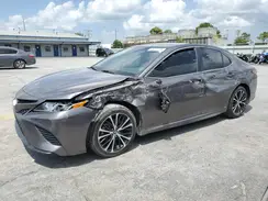 4T1B11HK7KU707010 2019 TOYOTA CAMRY