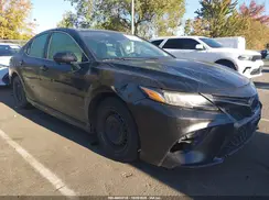 4T1B11HK7KU707797 2019 TOYOTA CAMRY