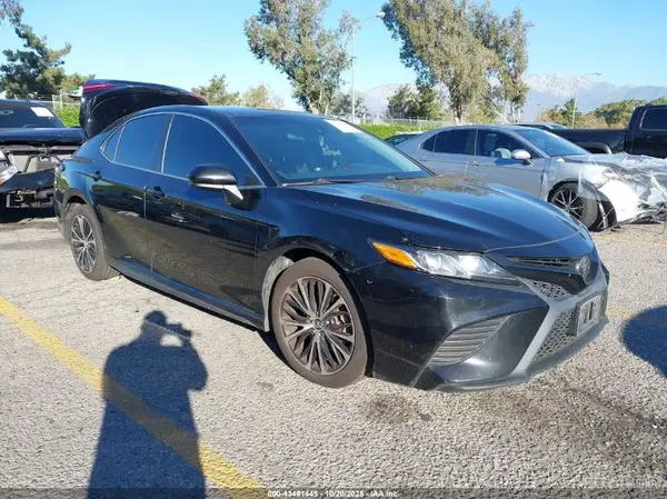 4T1B11HK7KU709470 2019 TOYOTA CAMRY - Image 1