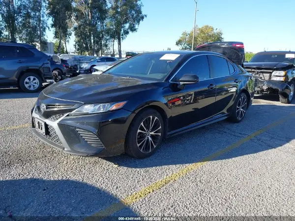 4T1B11HK7KU709470 2019 TOYOTA CAMRY - Image 2