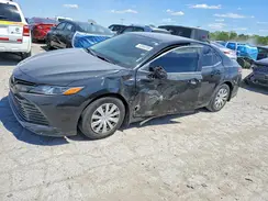 4T1B11HK7KU710585 2019 TOYOTA CAMRY