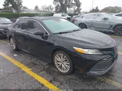 4T1B11HK7KU713602 2019 TOYOTA CAMRY