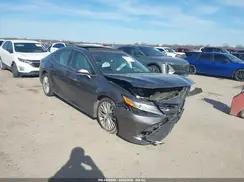 4T1B11HK7KU715978 2019 TOYOTA CAMRY