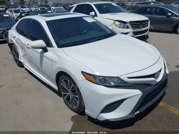4T1B11HK7KU725233 2019 TOYOTA CAMRY - Image 1